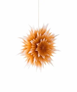 Alde & Lind Roxy D50