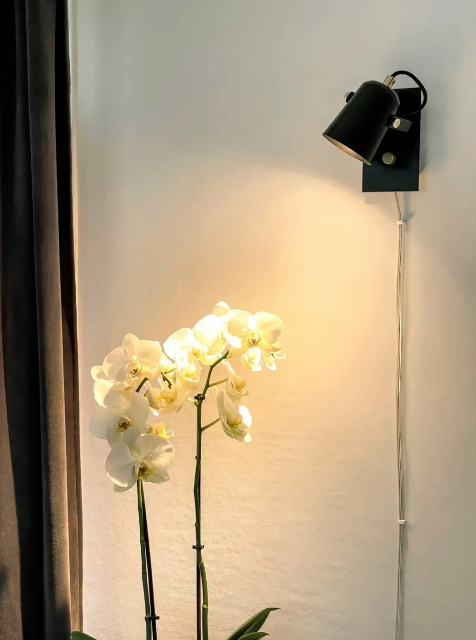 Aneta Lighting Vegglampe Metz