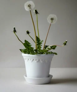 Bergs Potter Københavner Glazed, Ø 12 cm, Sett