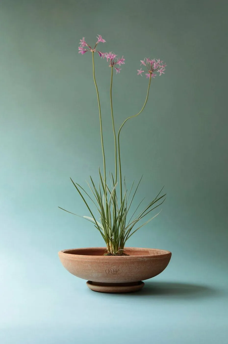 Bergs Potter Potte Ada Raw diameter 35 cm