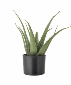 Bloomingville Aloe Plante