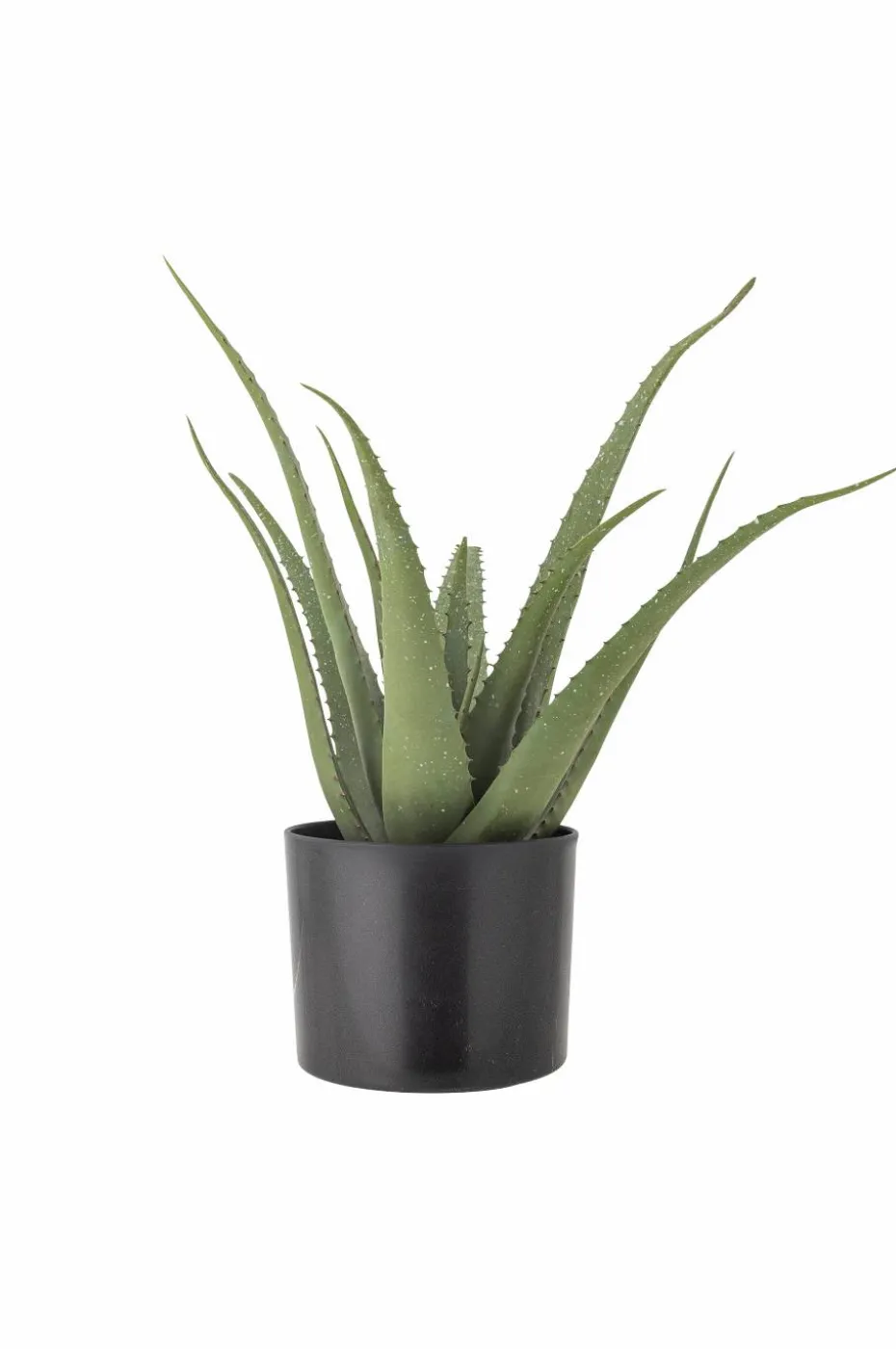 Bloomingville Aloe Plante