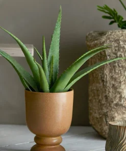 Bloomingville Aloe Plante