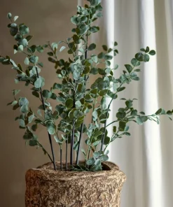 Bloomingville Eucalyptus Plante