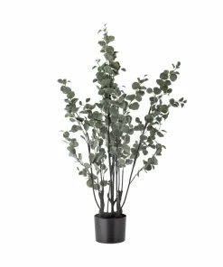 Bloomingville Eucalyptus Plante