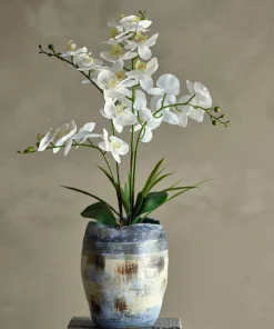 Bloomingville Orchid Plante