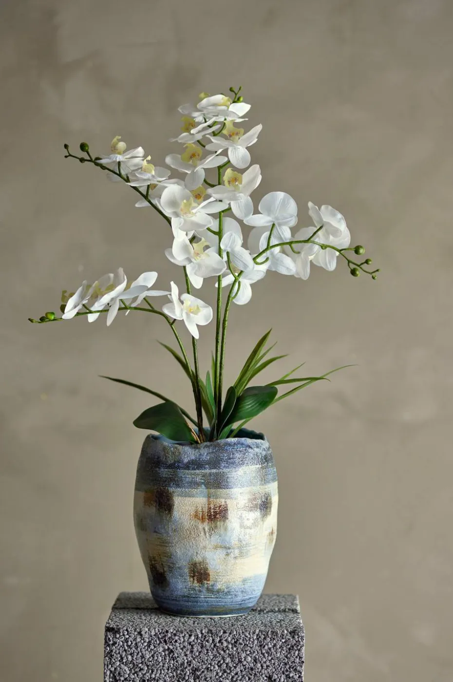 Bloomingville Orchid Plante