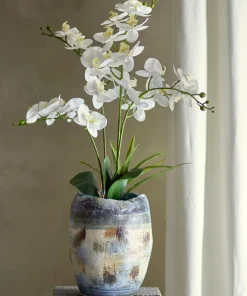 Bloomingville Orchid Plante