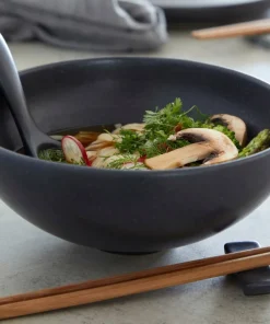 COSTA NOVA Ramen Bowl Set