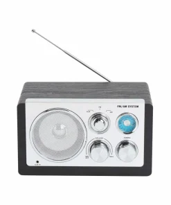 Denver Analog radio AM/FM