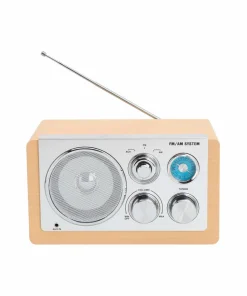 Denver Analog radio AM/FM