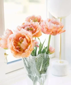 Dorre Tulipanvase Tulip
