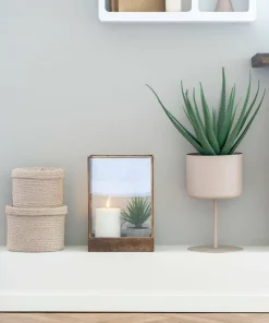 House Nordic Aloe vera