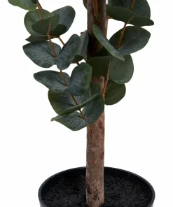 House Nordic Eukalyptus tre