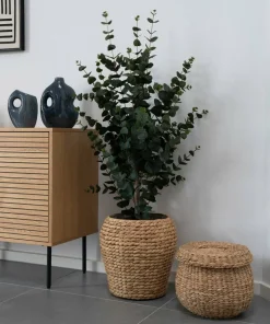 House Nordic Eukalyptus tre