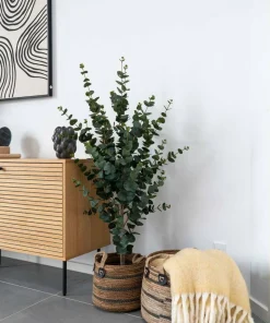 House Nordic Kurver Erba - sett med 2