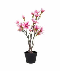 House Nordic Magnoliatre