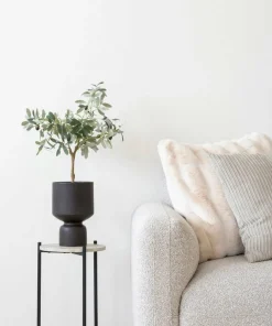 House Nordic Oliventre