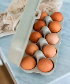Koziol Eggekartong til 10 egg Eggs To Go