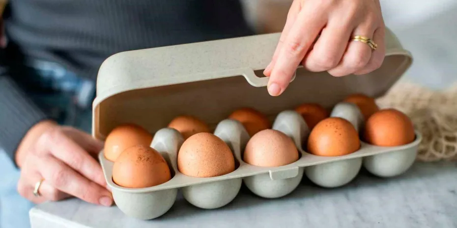 Koziol Eggekartong til 10 egg Eggs To Go