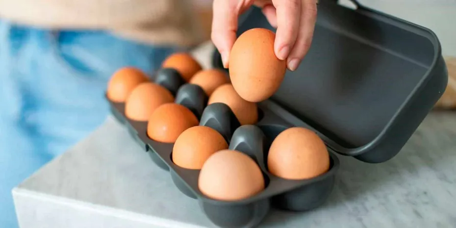 Koziol Eggekartong til 10 egg Eggs To Go