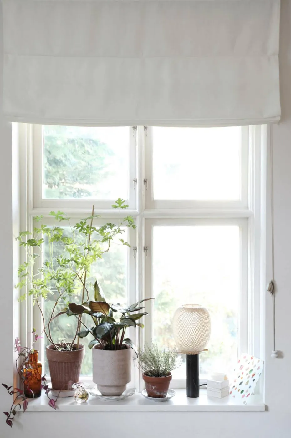 Mimou Liftgardin Studio 220 cm høy