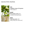Molton Brown Orange & Bergamot Aroma Reeds 150 Ml