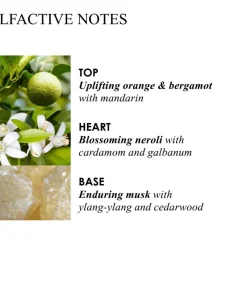 Molton Brown Orange & Bergamot Aroma Reeds 150 Ml