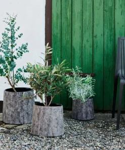 Muubs Pot Haru 22
