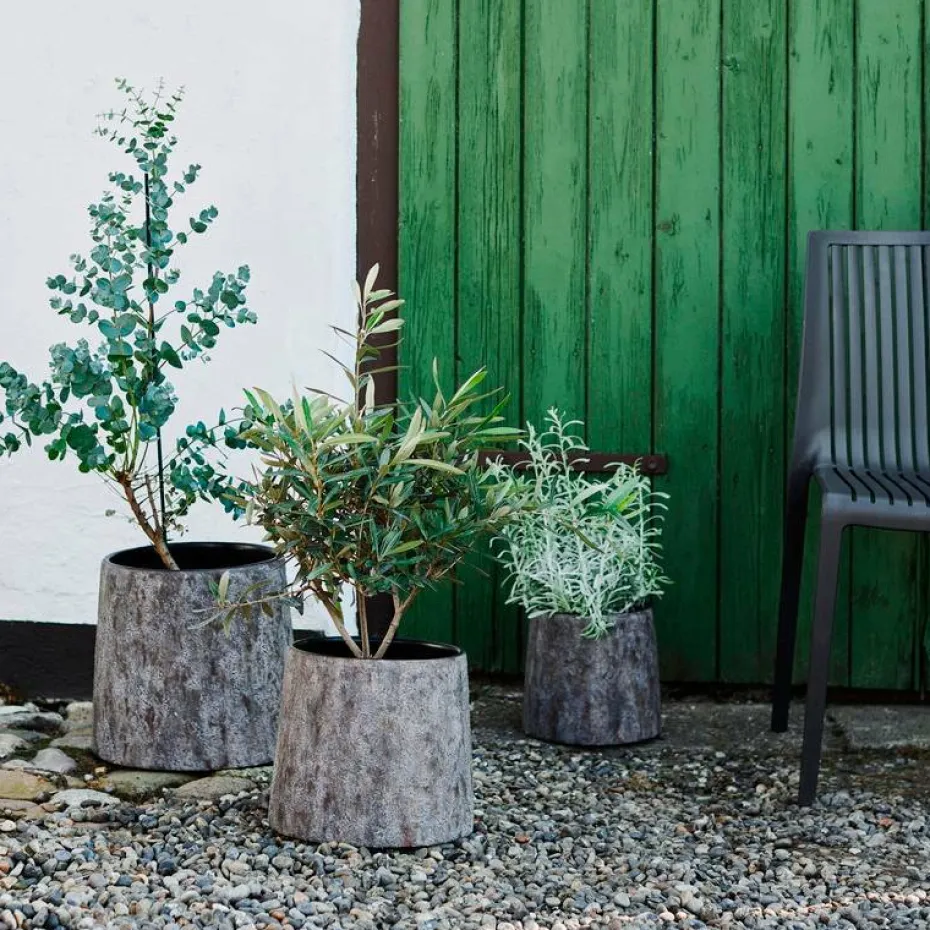 Muubs Pot Haru 22