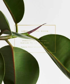 New Mags Coffee Table Book - Green Home Book