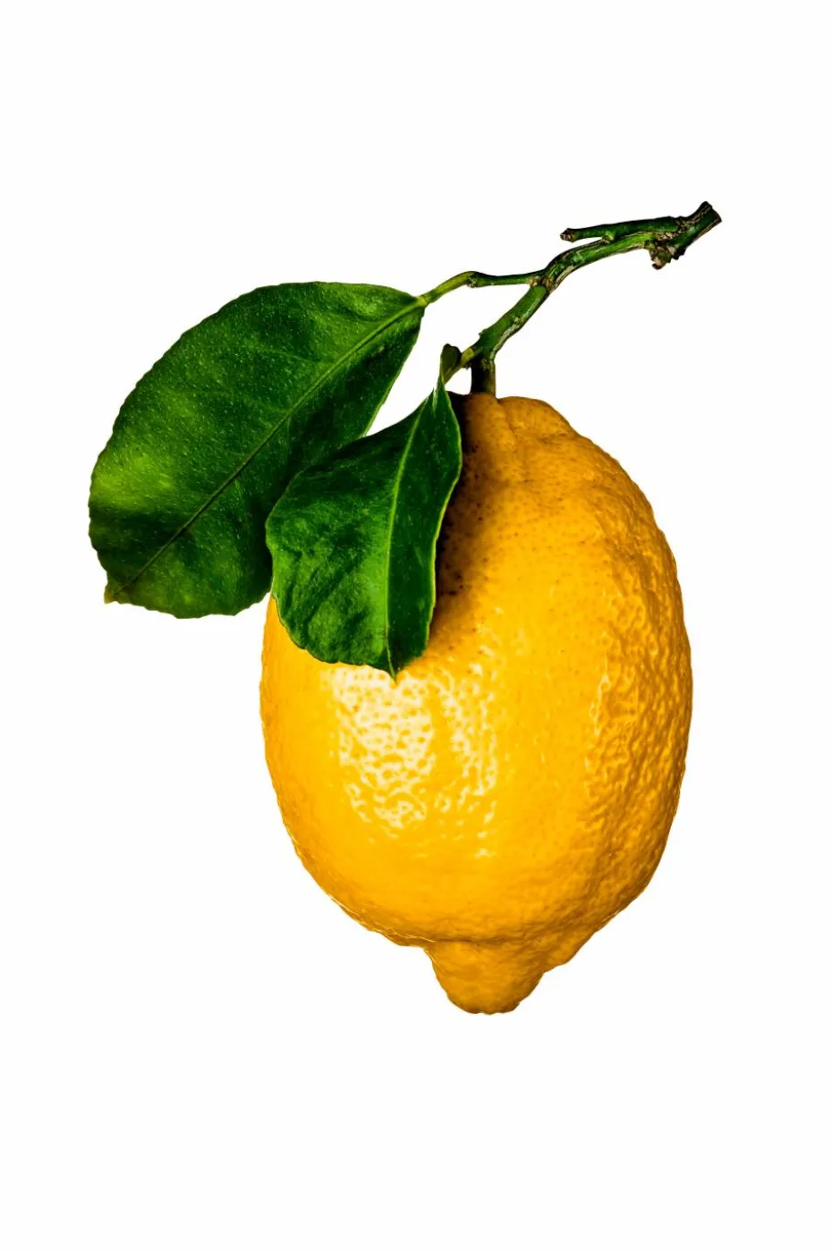 New Mags Coffee Table Book - The Gourmand'S Lemon . A Collection Of Stories And Recipes