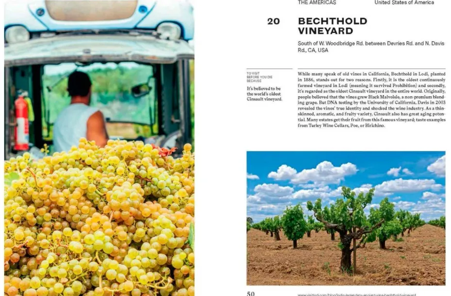 New Mags Coffee Table Book - 150 Vineyards