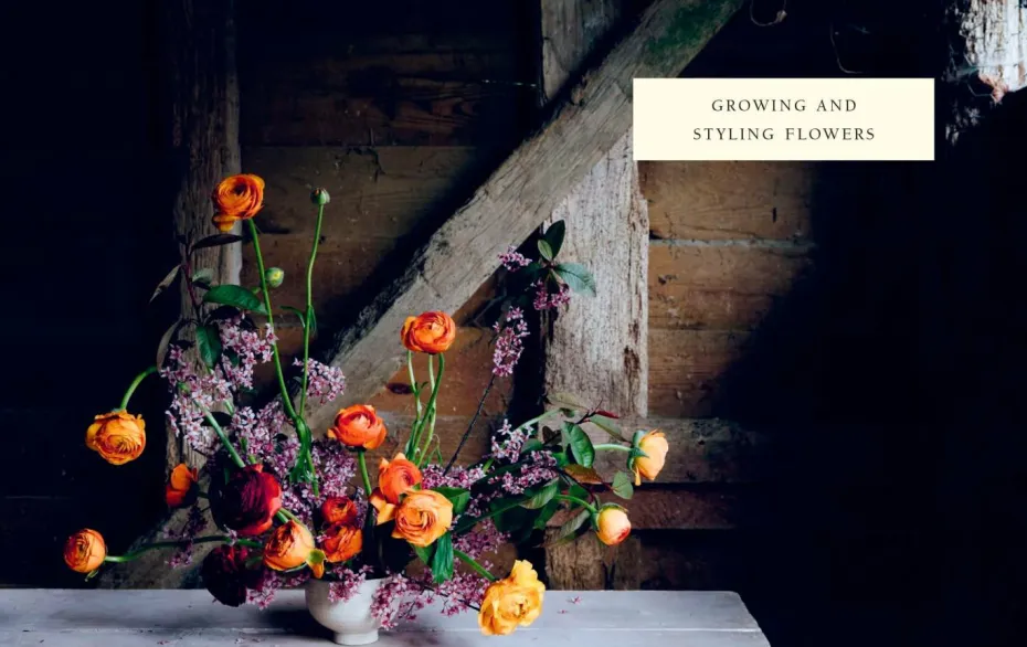 New Mags Coffee Table Book - From Seed To Bloom