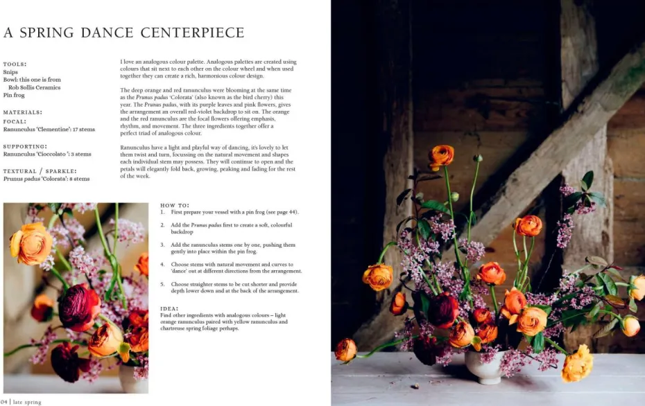 New Mags Coffee Table Book - From Seed To Bloom