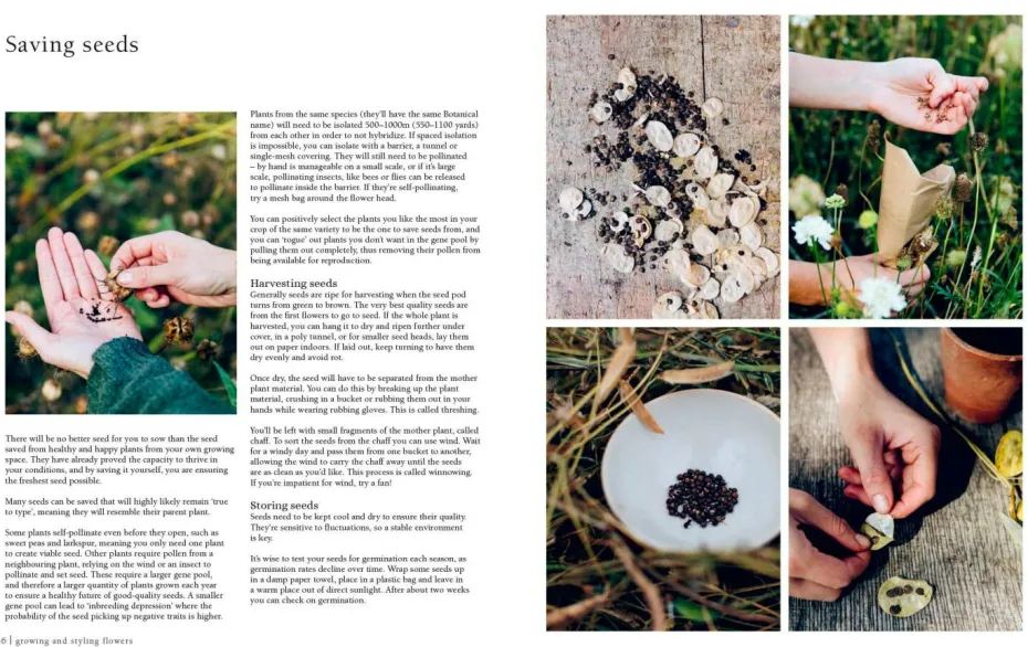 New Mags Coffee Table Book - From Seed To Bloom
