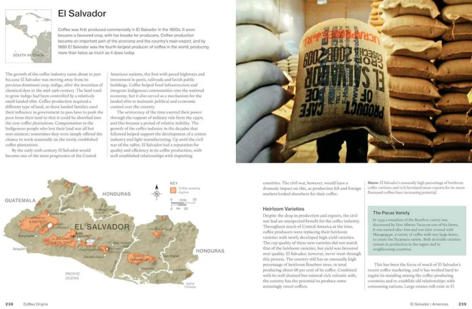 New Mags Coffee Table Book - The World Atlas Of Coffee 3Rd Edition