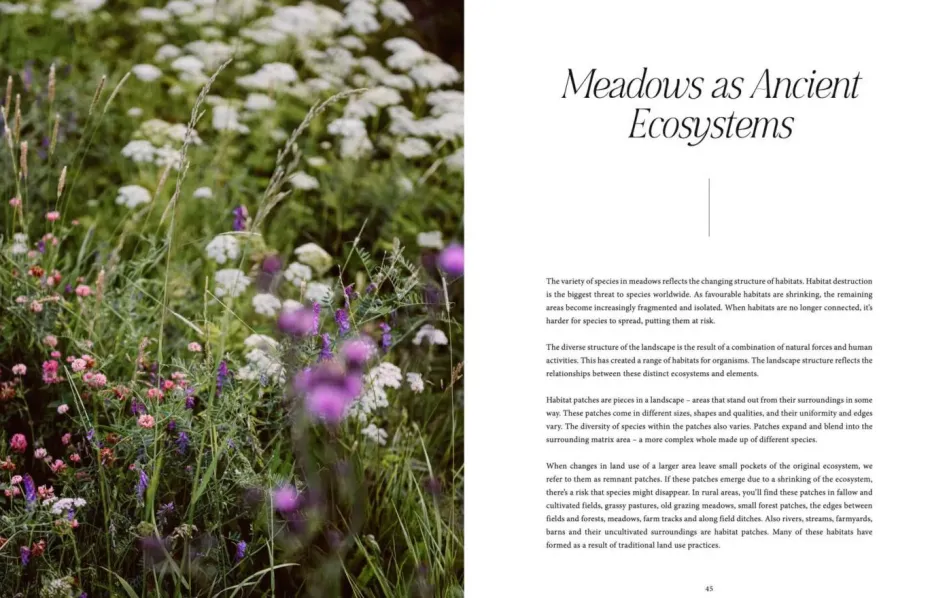 New Mags Coffee Table Book - Where Flowers Bloom