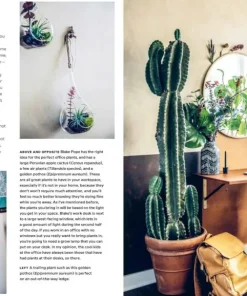 New Mags Coffee Table Book - Wild Interiors