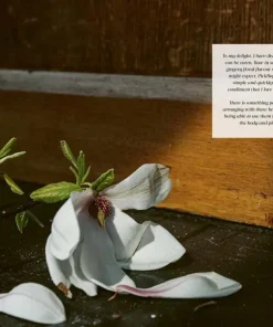 New Mags Coffee Table Book - Flower Philosophy