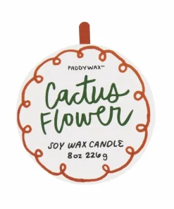 Paddywax Adopo 8 oz / 226 g blomst keramisk stearinlys - kaktusblomst i eske