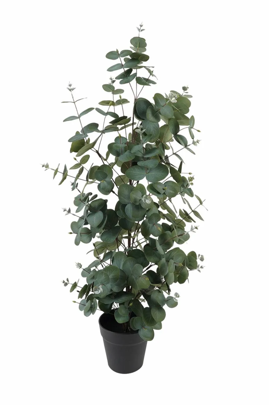 Present Time Kunstig plante Eucalyptus Leaf Large