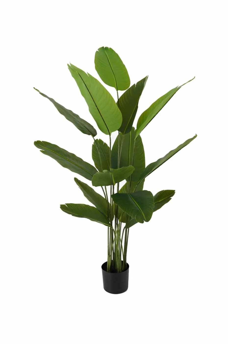 Present Time Kunstig plante Canna grønn