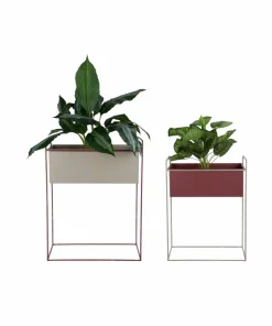 Present Time Plantepottesett Reina