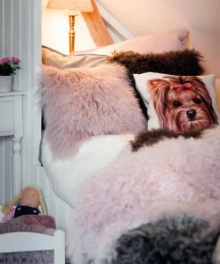 Skinnwille Saueskinn Shansi