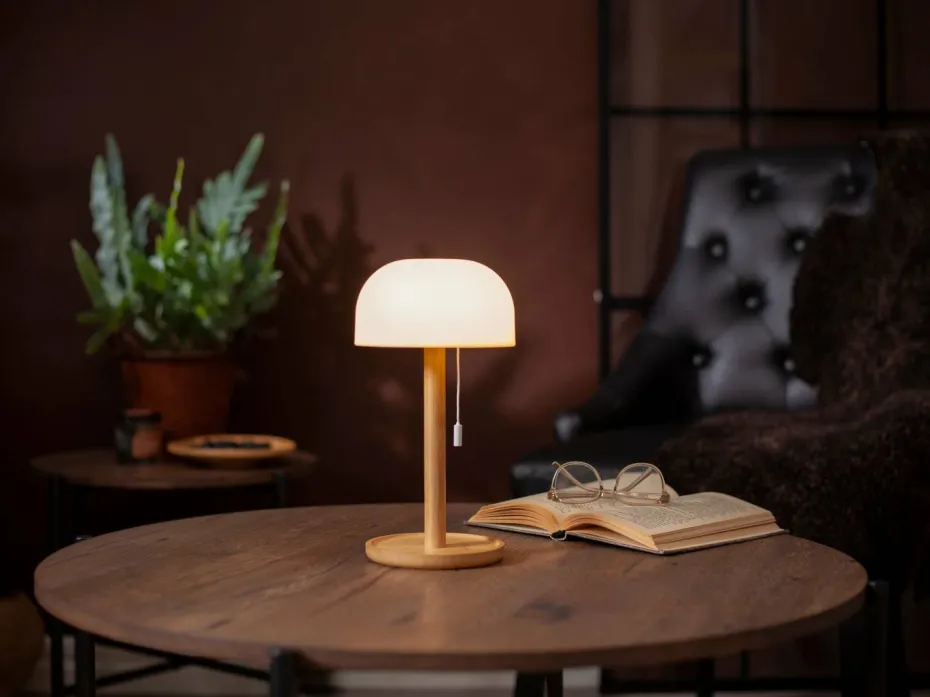 Star Trading Bordlampe Tara Usb