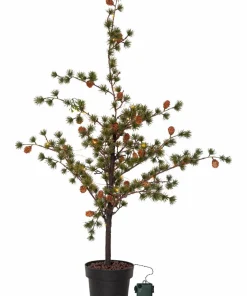 Star Trading Dekortre Larix 117 cm