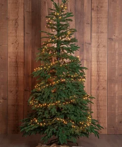Star Trading Juletre Edane 210 cm