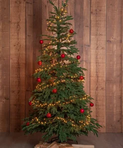 Star Trading Juletre Edane 210 cm