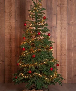 Star Trading Juletre Edane 210 cm
